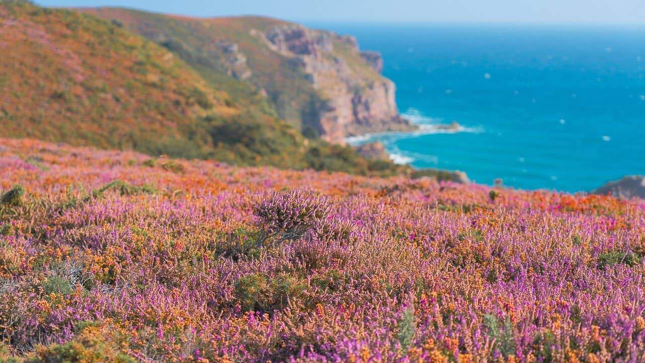 cote bretonne-min