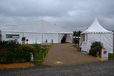 Foire de Béré