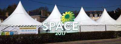 SPACE 2017